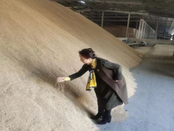 男娘做爱